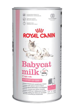 Royal Canin Babycat Milk