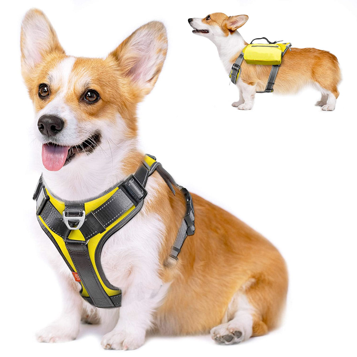 Fida Dog Harness