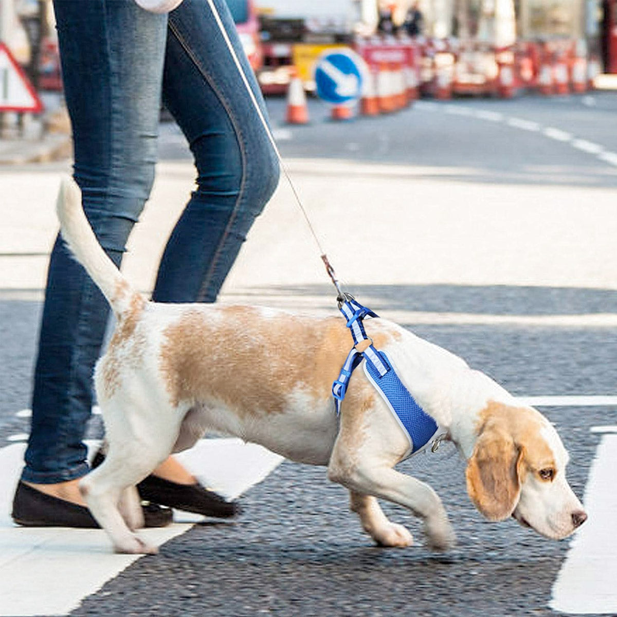 Fida Step-in Reflective Dog Harness