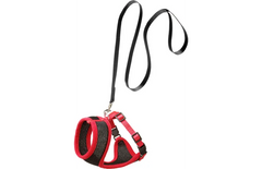 Flamingo Big Cat Harness Set with Leash