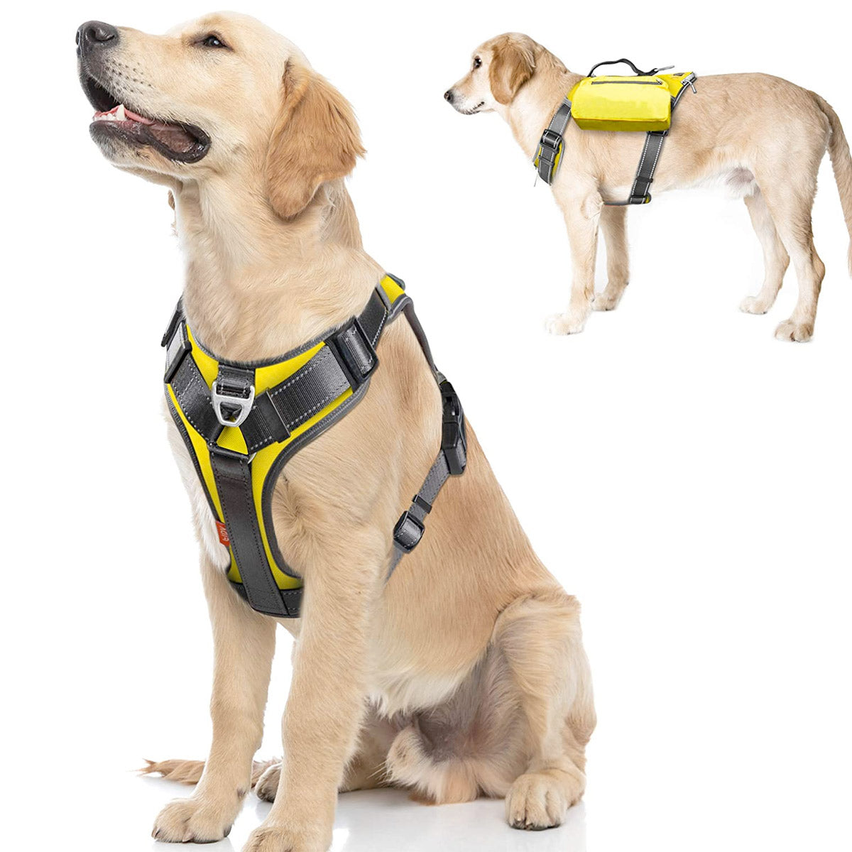 Fida Dog Harness