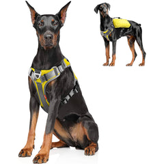 Fida Dog Harness