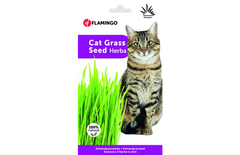 Flamingo Cat Grass