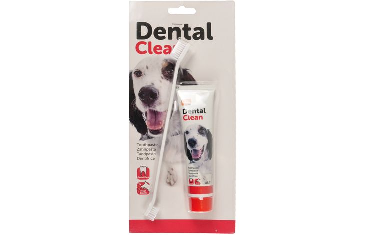 Flamingo Dental Clean Kit