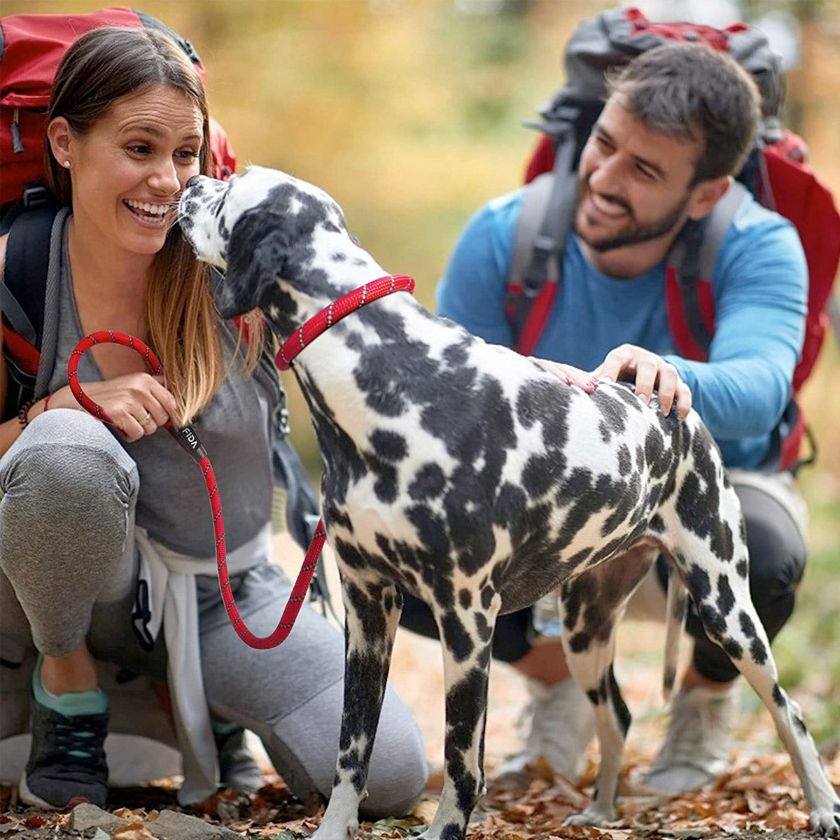 Fida Durable Slip Lead Dog Leash / Training Leash