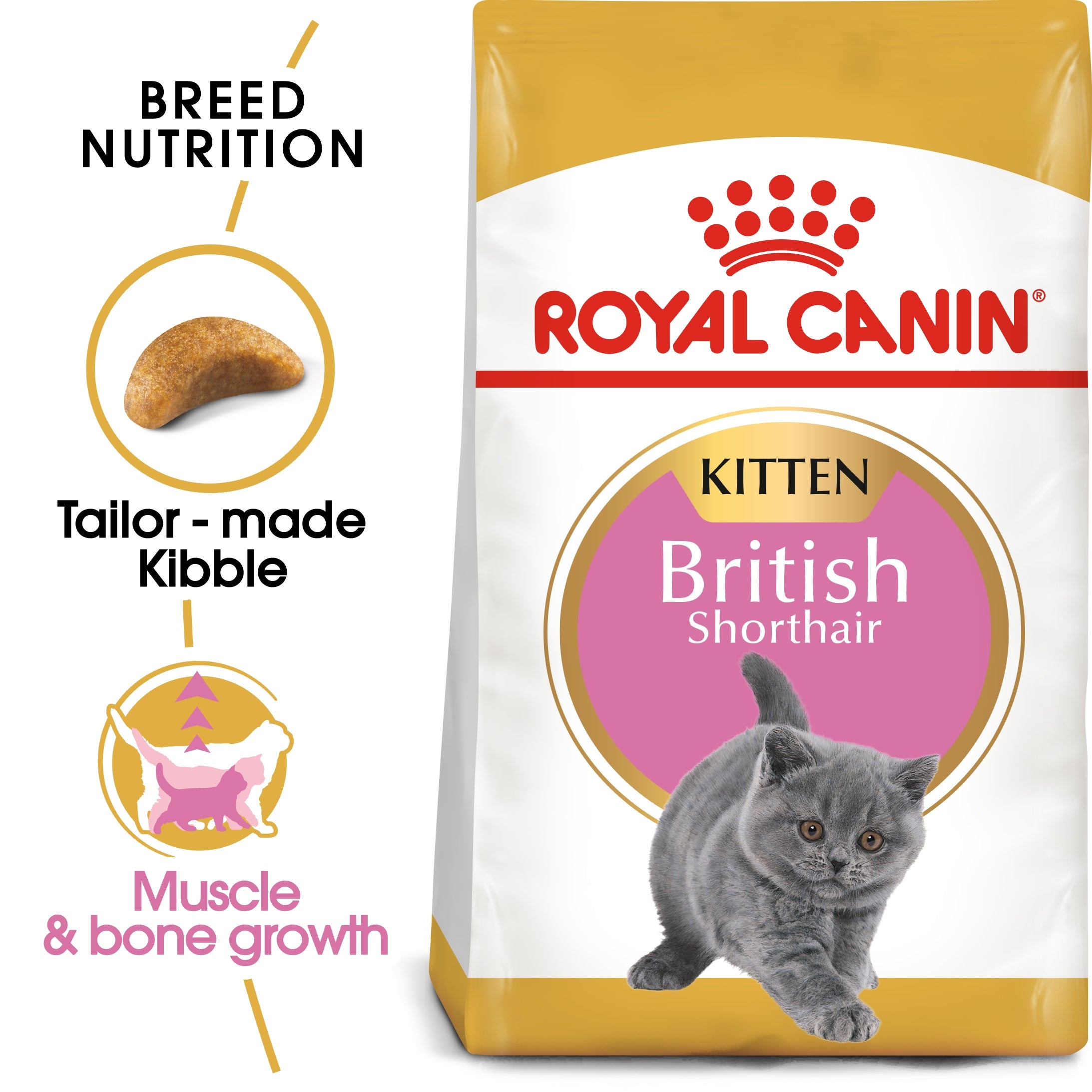 Royal Canin British Shorthair Kitten